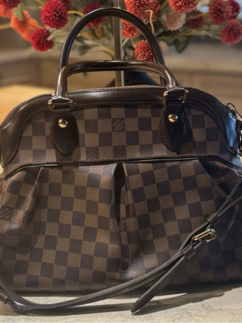 Louis Vuitton Trevi Ebene PM Bag